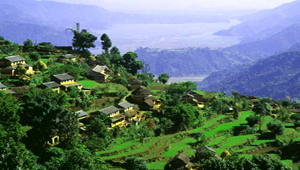 surrounding